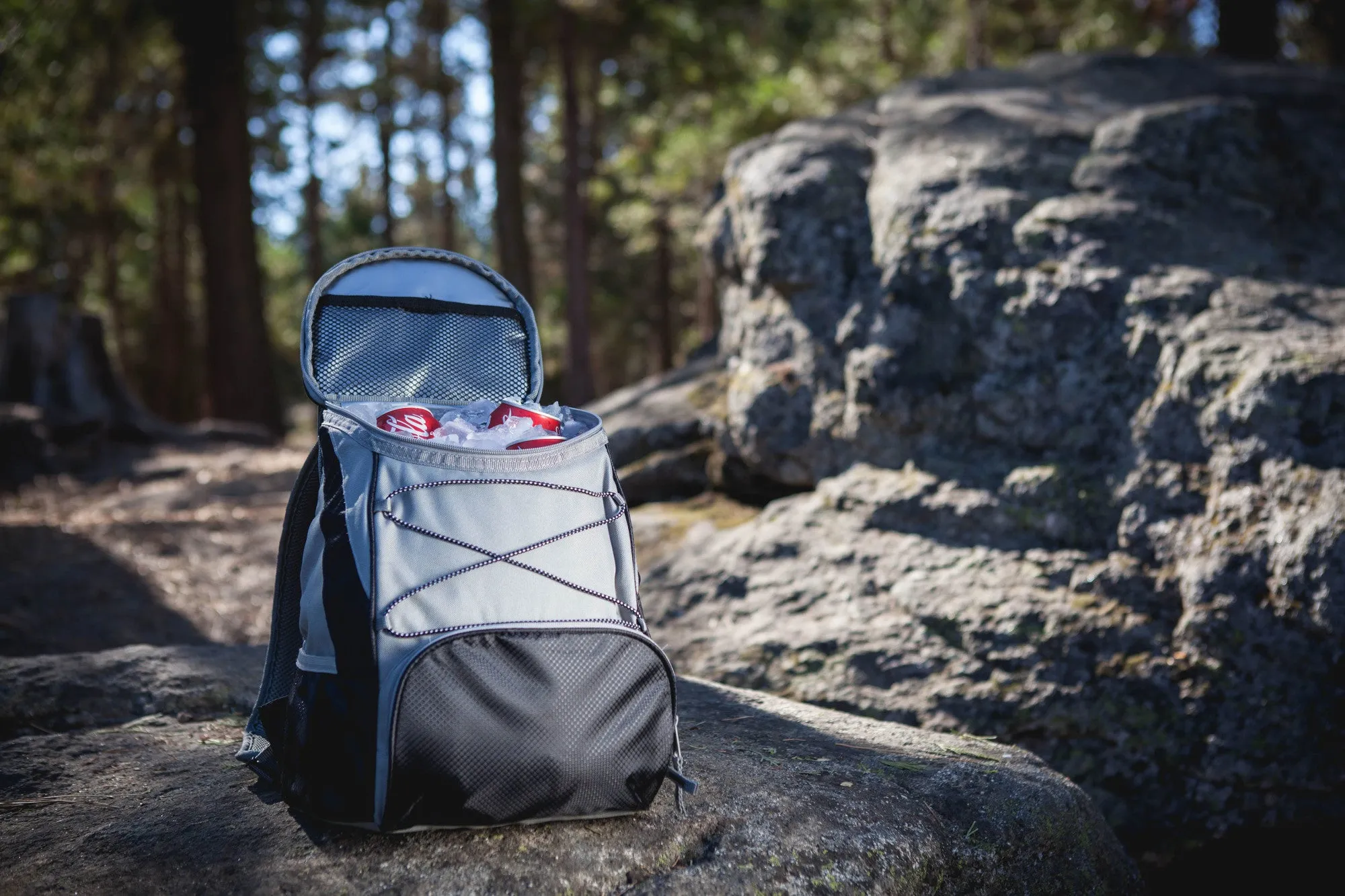 Batman - PTX Backpack Cooler