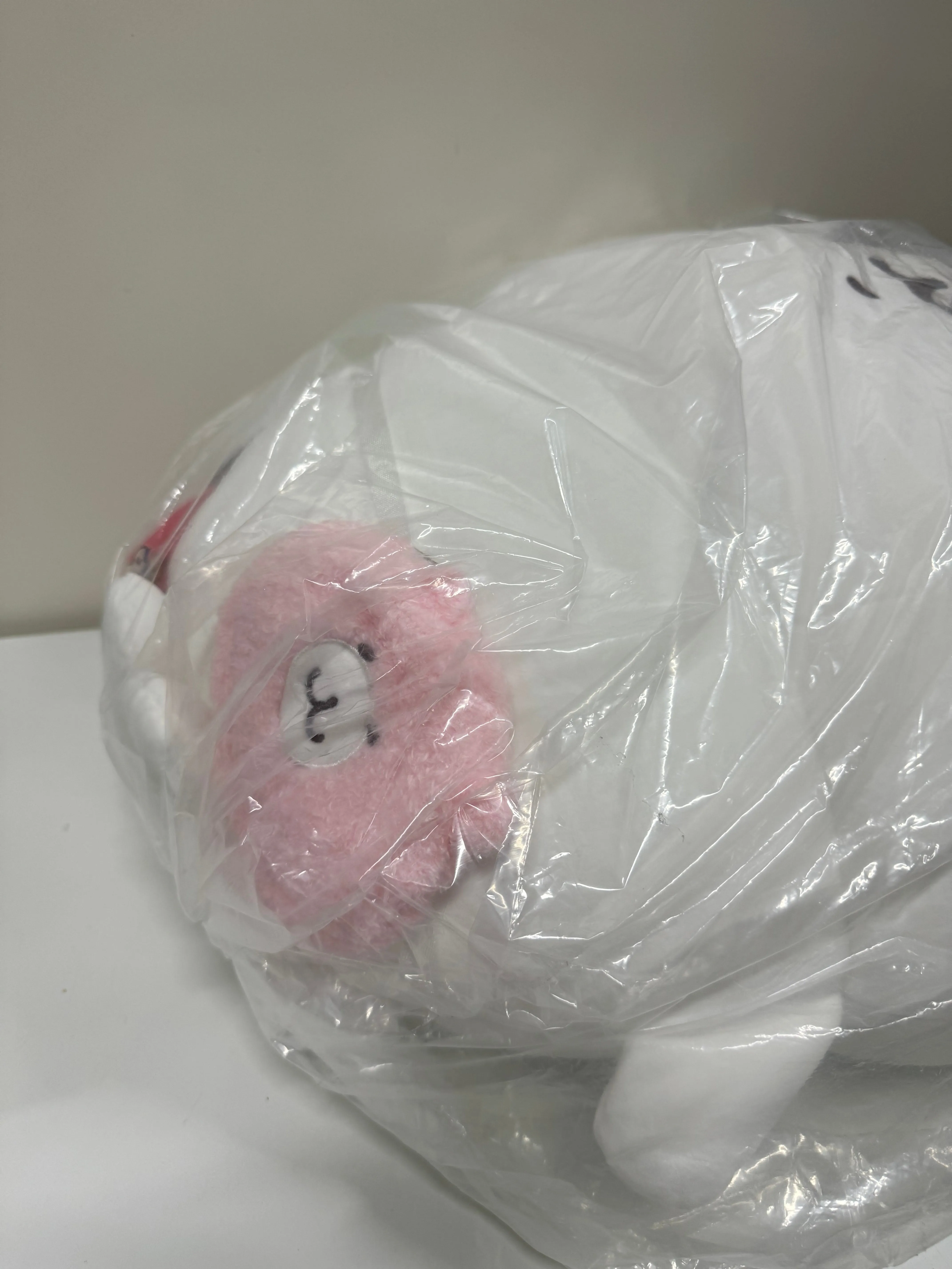 ChiiKawa X Miniso | ChiiKawa Hachiware Usagi -  60cm Giant Outing with Bag Plush Doll Kawaii items Room Decoration doll