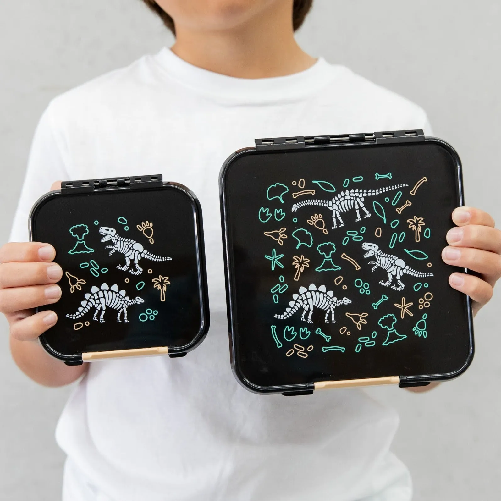 Montii.Co Bento 2 - Dinosaur Land