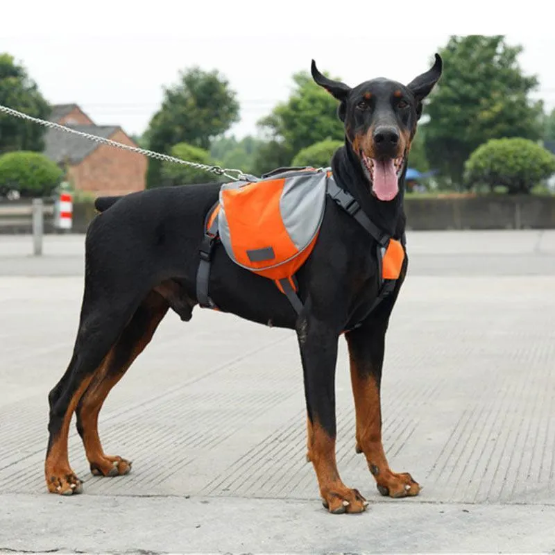 Outdoor Dog Backpack