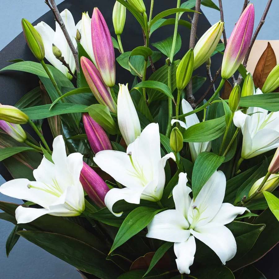 Pink and White Fragrant Lilies