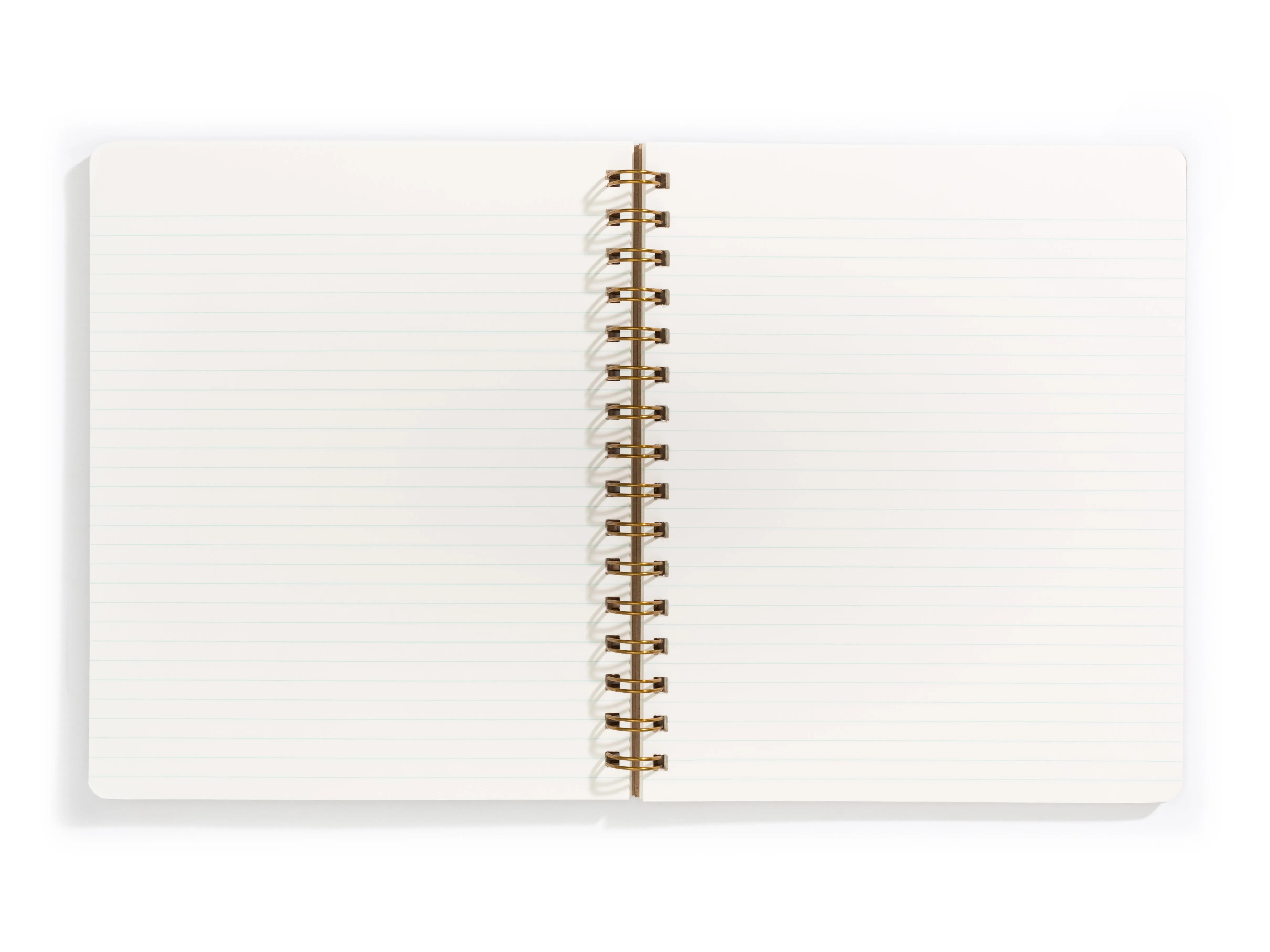 Standard Notebook - Mini Mushroom